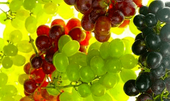 корекција на исхрана за проширени вени